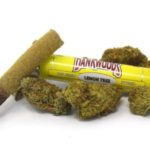 Dankwoods Lemon Tree – Pre Roll