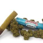 Dankwoods Skywalker – Pre Roll