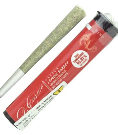 Lemon Sorbet Pre Roll