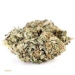 Gorilla Glue
